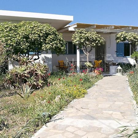 Anemos Seaside House Βίλα Σκύρος Εξωτερικό φωτογραφία
