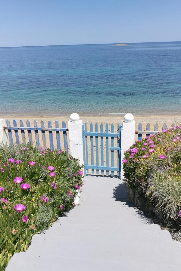 Anemos Seaside House Βίλα Σκύρος Εξωτερικό φωτογραφία